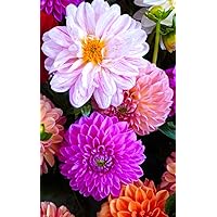 Notebook: dahlia blossom bloom flowers nature flora 5” x 8” 150 Ruled Pages