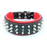 Genuine Leather Dog Collar with Screw Spikes and Soft Leather Cushion. Wide. Durable. Longlasting. Padded. Pitbull. Bulldog. Bully. APBT. Rottweiler. Cane Corso. Handmade in Europe!