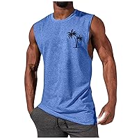 Men's Tank Shirts Summer Plus Size Casual Muscle Sports Training Bodybuilding Sport Shirt Solid Trendy Tees