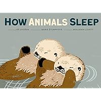 How Animals Sleep How Animals Sleep Hardcover Kindle