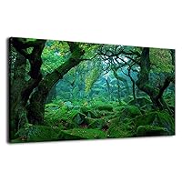 Green Forest Canvas Wall Art Living Room Decoration Big Trees Nature Picture Large Modern Canvas Artwork Contemporary Woods Mossy Rock Spring Season Prints for Office Home Decoration 20