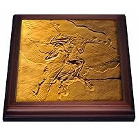 3dRose Archaeopteryx from the Jurassic Germany-Trivet with Ceramic Tile, 8