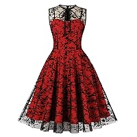 Wellwits Women's Embroidery Mesh Overlay Vintage Cocktail Formal Dinner Dress