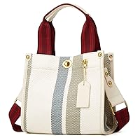 Small Striped Tote Tote Bag for Women Canvas Crossbody Bag Shoulder Bag Satchel Hobo Bag Messenger Bag