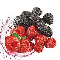 20 Pieces Artificial Raspberry, Simulation Plastic Raspberry Fake Fruit, Realistic Room Fruit Decor, Wedding Party Fake Raspberry Ornament, Photography Props Basket Display Decoration