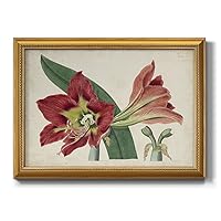 Renditions Gallery Floral Wall Art Red and Pink Flowers Painting Picture Modern Botanical Artwork Home Décor Gold Framed Canvas Prints Wall Decorations for Living Room and Bedroom 20x28 Inch LS001