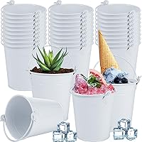 Mini Metal Buckets with Handles Galvanized Buckets 3.15 Inch Mini Toy Container Buckets for Kids Metal Crayon Pencil Holder Bucket Tin Pail for Wedding Decoration Party Favor(White, 28 Pcs)