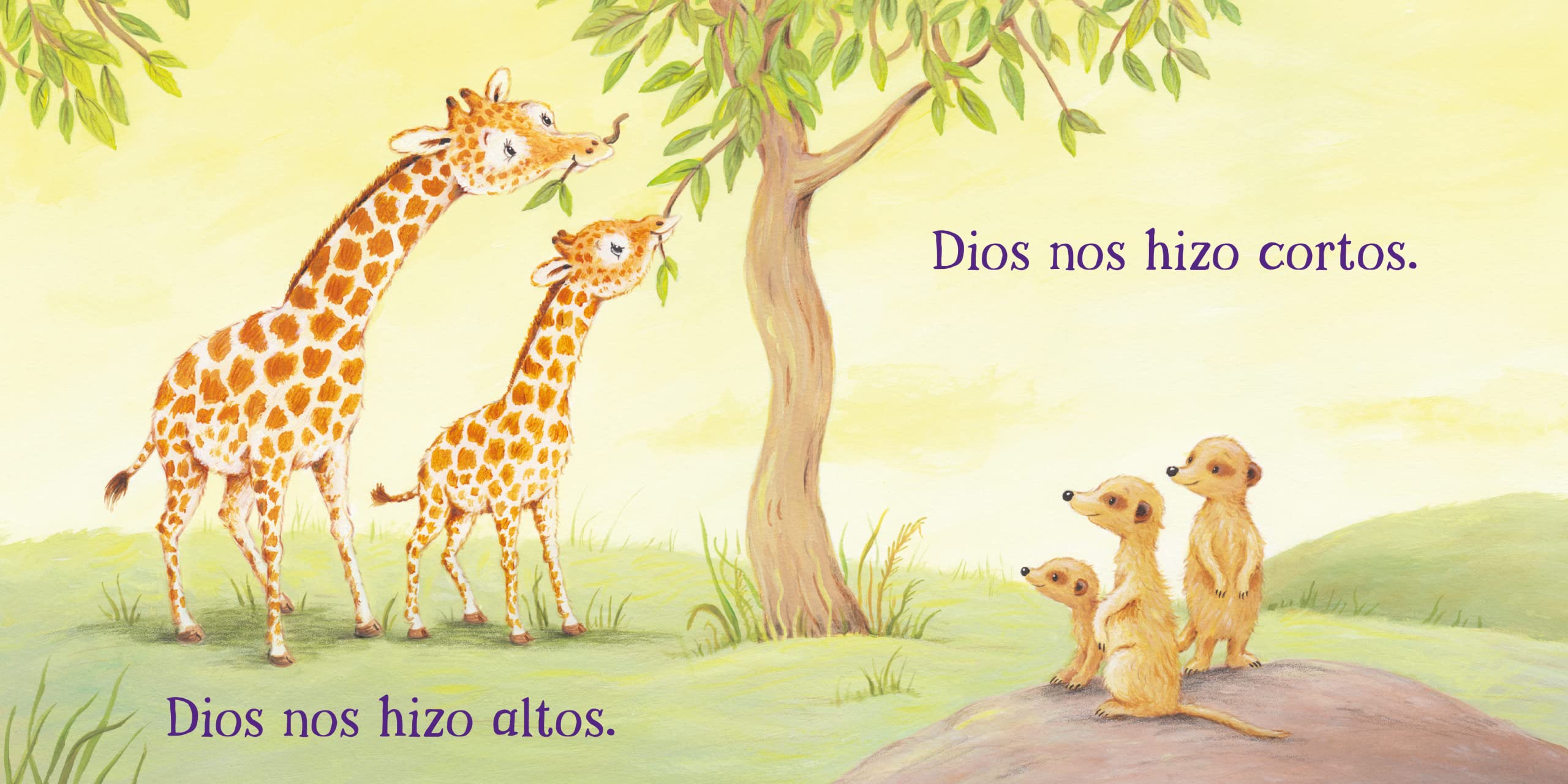 Dios Nos Creó (Tender Moments) (Spanish Edition)