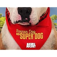 Rescue Dog To Super Dog Season 1