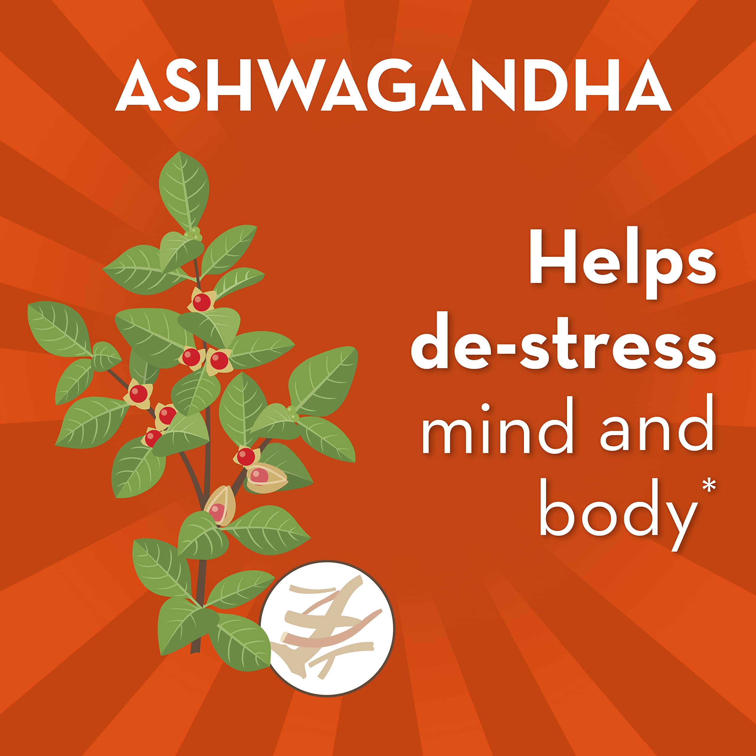 Align Probiotic, Digestive De-Stress, Probiotic for Women and Men with Ashwagandha, Helps with a Healthy Response to Stress, Gluten Free, Soy Free, Vegetarian, 21 Capsules (Pack of 2)