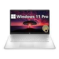 HP [Windows 11 Pro] 17.3