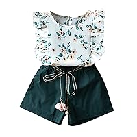 Toddler Girl Clothes,Toddler Girl Summer Clothes Toddler Baby Girls Flower Print T-shirt Top + Belt Shorts Outfits