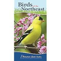 Birds of the Northeast: Your Way to Easily Identify Backyard Birds (Adventure Quick Guides) Birds of the Northeast: Your Way to Easily Identify Backyard Birds (Adventure Quick Guides) Spiral-bound
