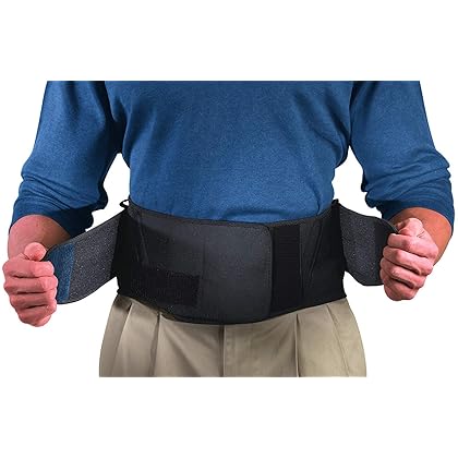 Mueller 255 Lumbar Support Back Brace with Removable Pad, Black, Regular(Package May Vary)