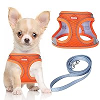 YIMEIS Dog Harness and Leash Set, No Pull Soft Mesh Pet Harness, Reflective Adjustable Puppy Vest for Small Medium Large Dogs, Cats (Orangeblue, Small (Pack of 1)