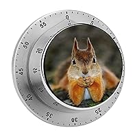Fun with Squirrels 60 Minute Visual Timer Kitchen Timer Countdown Timer Clock for Cooking Meeting Learning Work