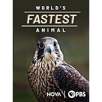 World's Fastest Animal