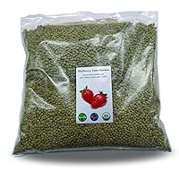 Green Lentils 5 Pounds Whole USDA Certified Organic, Non-GMO, Bulk, Product of USA, Mulberry Lane Farms