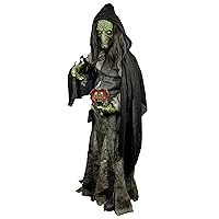 Adult Premium Evil Green Witch Costume | Scary Witch Costumes
