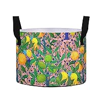 Citrus Trees Grow Bags 3 Gallon Fabric Pots with Handles Heavy Duty Pots for Plants Aeration Container Nonwoven Plant Grow Bag for Tomato Potato Fruits Flowers Garden