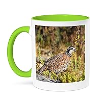 3dRose Northern bobwhite quail foraging on rocky ground - Mugs (mug-380475-12)