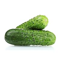 Spacemaster Cucumber Seeds - Heirloom Non-GMO USA Grown - Compact Bush Variety Produces 8