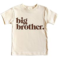 Bold Promoted to Big Brother Sibling Reveal Shirt for Boys Sibling Outfit
