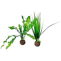 biOrb Easy Plant Pack, Small (Pack of 2)