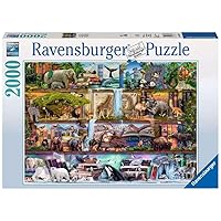 Ravensburger Aimee Stewart: Wild Kingdom Shelves-2000 Piece Jigsaw Puzzle, Teal/Turquoise Green