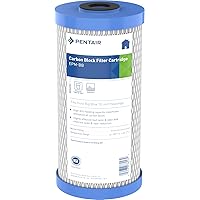 Pentair Pentek EPM-BB Big Blue Carbon Water Filter, 10-Inch, Whole House Modified Epsilon Carbon Block Replacement Cartridge with Bonded Powdered Activated Carbon (PAC) Filter, 10