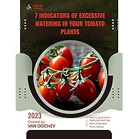 7 Indicators of Excessive Watering in Your Tomato Plants: Guide and overview