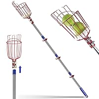 13FT Fruit Picker Pole with Basket Apple Orange Picker Tool Tree Fruit Catcher with Lightweight Stainless Steel Connecting Pole, Sturdy Basket with Foam Pad, Metal Clamp