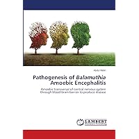 Pathogenesis of Balamuthia Amoebic Encephalitis: Amoebic transversal of central nervous system through blood-brain barrier to produce disease