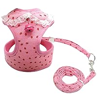 Didog Adjustable Pet Mesh Vest Harness and Leash Set with Cute Bell for Puppy Small Medium Dogs and Cats