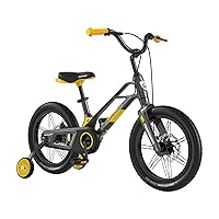 Kids Bike 16 Inch Bicycle for Boys Girls Ages 4-8 Years, Lightweight Magnesium Alloy Frame, Toddler Bike Adjustable Handlebar ，Training Wheels
