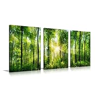 Youk-art Decor 3 Panels Morning Sunrise Green Trees Landscape Sunshine Over Forest Photograph Printed on Canvas for Home Wall Decoration (Green, 16x24inchx3)