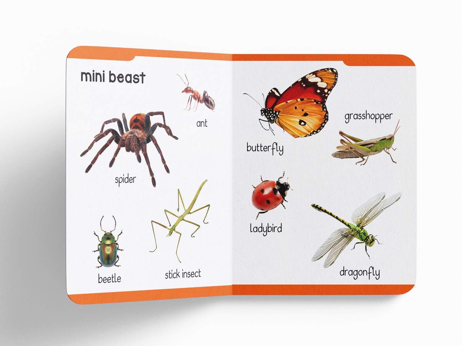 My First Padded Book of Animals: Early Learning Padded Board Books for Children