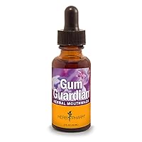 Herb Pharm Gum Guardian Herbal Mouthwash for Healthy Mouth and Gums, Organic, 1 Fl Oz (Pack of 1)