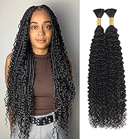 24 Inch Curly Bulk Human Hair for Braiding Wet and Wavy Micro Braiding Human Hair No Weft 100g with 2 Bundles Kinky Curly Braiding Hair Extensions for Box Boho Braids Natural Color