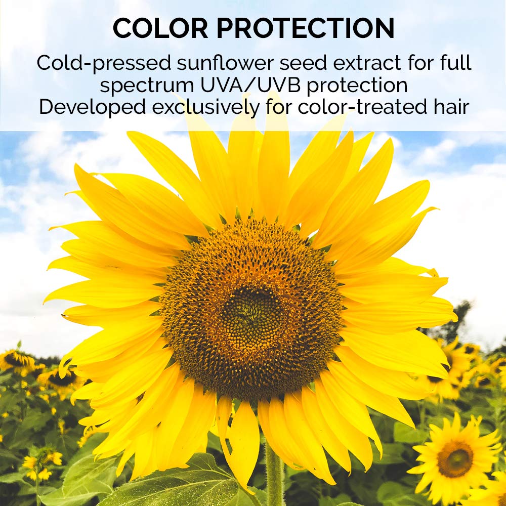 ColorProof SuperPlump Volumizing Conditioner, 2 Fl Oz - Color-Safe, Bodify, Vegan, Sulfate-Free, Salt-Free, Unisex - Professional Hair Conditioner