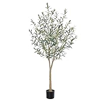 Faux Olive Tree 6ft，Olive Trees Artificial Indoor with Natural Trunk and Realistic Leaves and Fruits. 6 Feet(72in) Fake Olive Tree for Indoor Home House Office Décor.