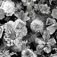 RoomMates RMK11718RL Black and White Vintage Floral Blooms Peel and Stick Wallpaper