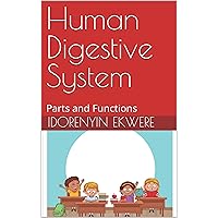 Human Digestive System: Parts and Functions