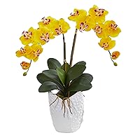 Nearly Natural 1480-YL Artificial Arrangement, Yellow Double Phalaenopsis Orchid in White Ceramic Vase