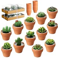12 Pieces Succulent Candles Novelty Handmade Cactus Tealight Candle Delicate Stylish Plant Candle Mini Cactus Candles for Party Favors Baby Shower Decorations Wedding Gifts Birthday (Cute Style)