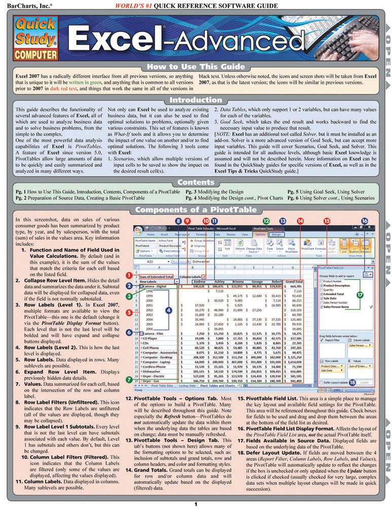 Excel Advanced (Quick Study Computer)