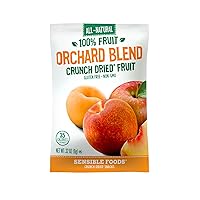 Sensible Foods Fruit Snacks, Orchard Blend, 48 Count (Pack of 48)