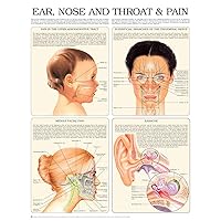 Ear, nose and throat & pain e-chart: Full illustrated
