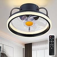 Asyko 13 Inch Small Flush Mount Ceiling Fans with Lights - Low Profile Ceiling Fan, Memory Function and Dimmable,Enclosed Ceiling Fans Light for Indoor Lighting, Bedroom, Kitchen (Black)