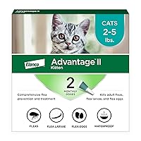 II Kitten Vet-Recommended Flea Treatment & Prevention | Cats 2-5 lbs. | 2-Month Supply